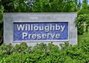 Willoughby Preserve Homes for Sale