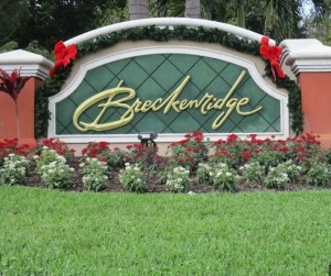 Breckenridge Homes for Sale