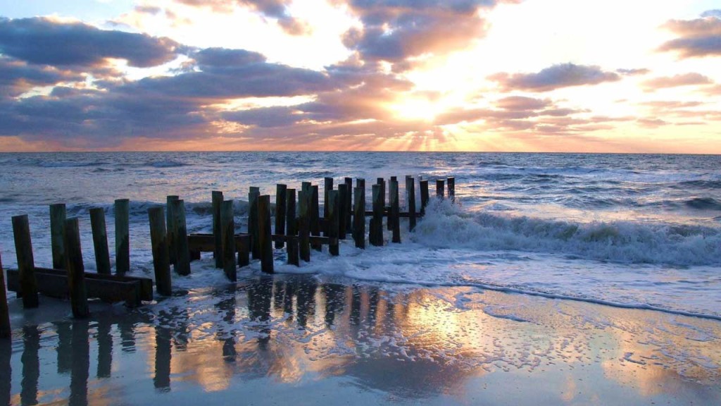 southwest florida real estate