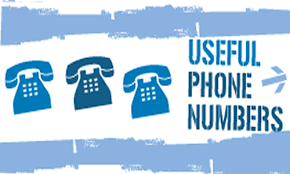 Important Numbers – Emergency and Important Phone Numbers For Southwest Florida