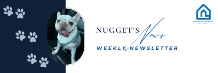 June Snapshot Market Report, Hurricane Guide, Open Houses & More | Nugget’s News | July 05, 2024